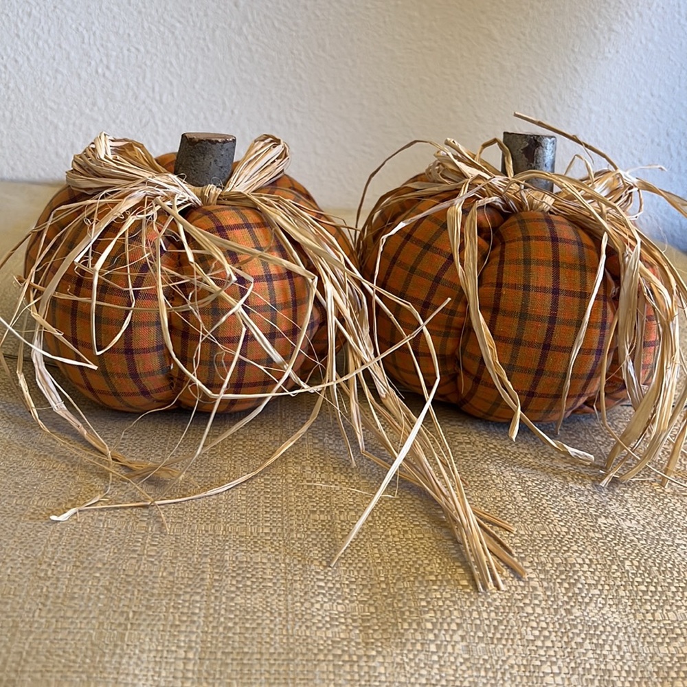 NWOT Pumpkins with Foe Straw Accents